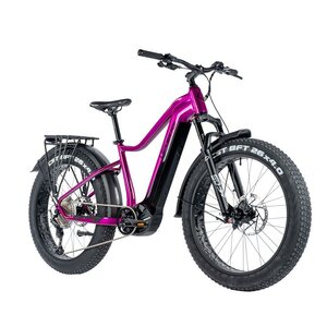 Leader Fox BRASA 720 FAT 2024