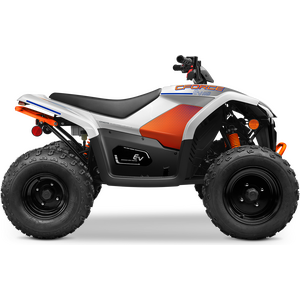 CFMOTO CFORCE 110 EV