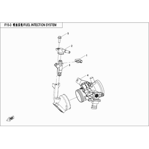 FUEL INJECTION SYSTEM