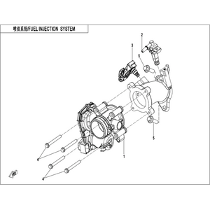 FUEL INJECTION SYSTEM