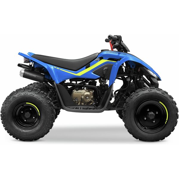 CFMOTO CFORCE 110