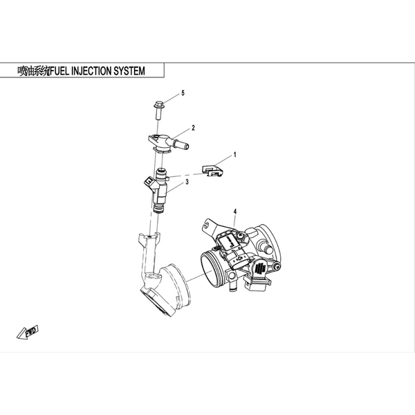 FUEL INJECTION SYSTEM