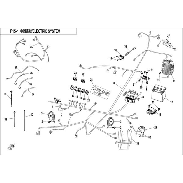 ELECTRIC SYSTEM